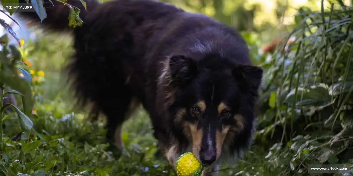 <strong>MK</strong>🥎汗水、热血、荣耀 —— 这里，为每一份拼搏喝彩！